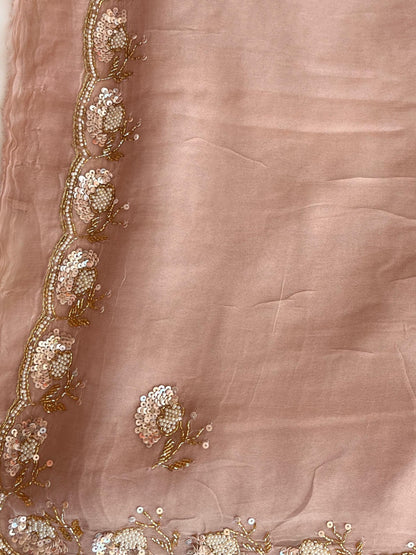 Noor Blush Chiffon Saree