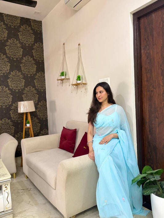 Rajkunwari Sheeshmahal Neel Saree Worn by Mrs Aarti Jain (Gurugram)