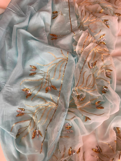 Aabha | Powder Blue Pure Chiffon Hand Embroidered Saree